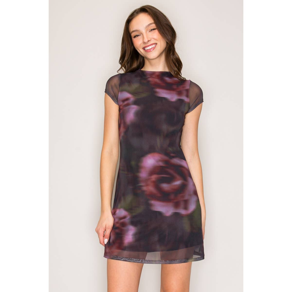 Printed Mesh High Neck A-Line Mini dress