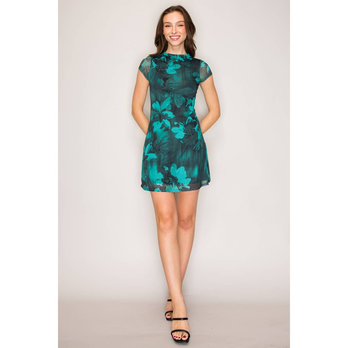 Printed Mesh High Neck A-Line Mini dress