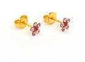 GP Daisy Lt Rose Fuchsia (Sensitive Ear)