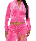 Ed Hardy Tattoo Eagle Velour Zip-Up Hoodie - Pink
