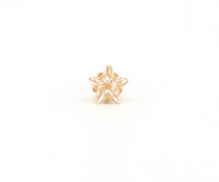 5mm CZ Star Tiffany Stud G/P (Sensitive Ear)