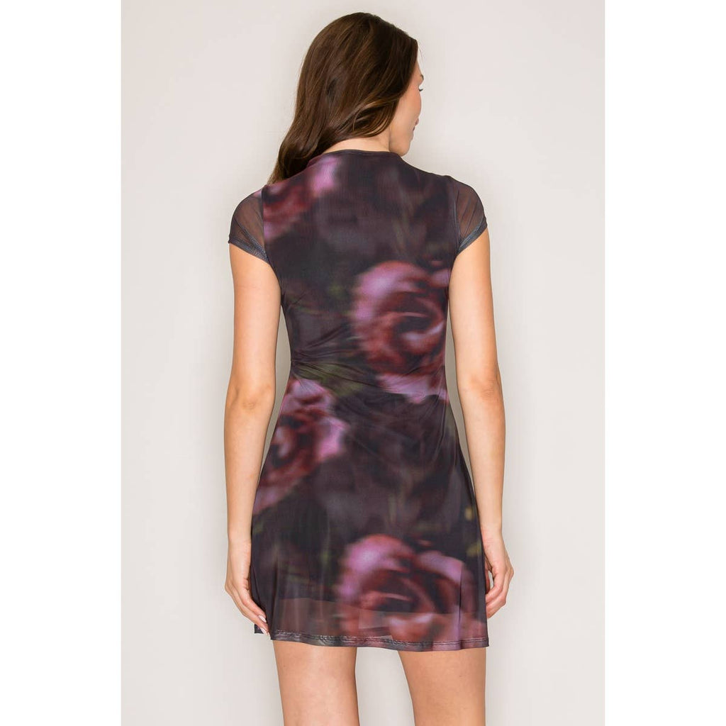 Printed Mesh High Neck A-Line Mini dress